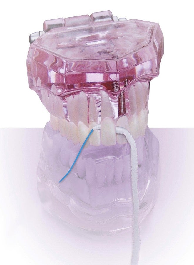 بروكسي سوفت خيط بروكسي سوفت للعناية باللثة، عبوة واحدة - أداة تمرير خيط الأسنان، وخيط تقويم الأسنان، وفرشاة بروكسي السميكة للعناية اليومية بأمراض اللثة وصحة اللثة - خيوط تقويم الأسنان للتقويم والأسنان - Image 4